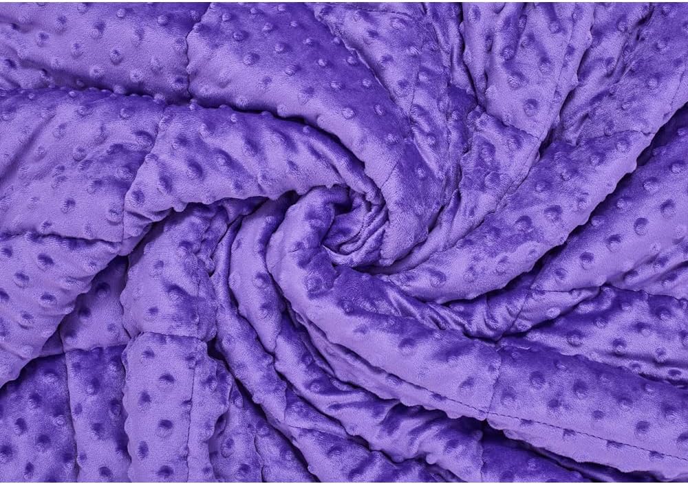 TONGDADA Minky Weighted Blanket | 60''x80'',15lbs | Cozy and Soft Minky Weighted Throw Blanket | Luxury Velvet with Premium Glass Beads | Violet Minky