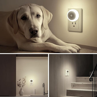 KINUR 6 Pack Night Light, LED Night Lights Plug into Wall with Dusk to Dawn sensors, Plug in Night Lights for Kids Room, Bedroom, Bathroom, Baby Nursery,Stair Lights, Hallway Light, Daylight