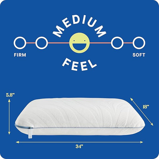 Sealy Dreamlife King Size Memory Foam Cooling Pillow with Surface Guard Technology, Removable Machine-Washable Cover, 1 Year Limited Warranty, White