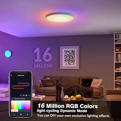 2 Pack 16 Inch Smart RGB LED Ceiling Light with Remote, WiFi Flush Mount Ceiling Light Compatible with Alexa & Google Home, 32W=3200LM Dimmable, DIY Colors, for Bedroom Living Room