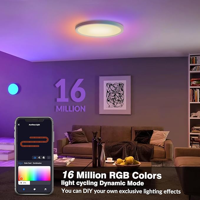 2 Pack Smart RGB LED Ceiling Light with Remote, 12" WiFi Flush Mount Ceiling Light Works with Alexa & Google Home, 24W=2400LM Dimmable, DIY Colors & 2700K-6500K, for Bedroom Living Room