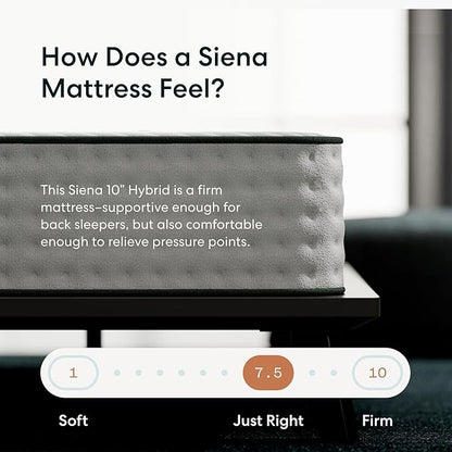 Siena 10” Hybrid Firm Queen Mattress & Adjustable Base - Head & Foot Incline - Medium Firm Memory Foam - Premium Pressure Relieving Layers - Wireless Remote with Memory - Zero Clearance & Gravity