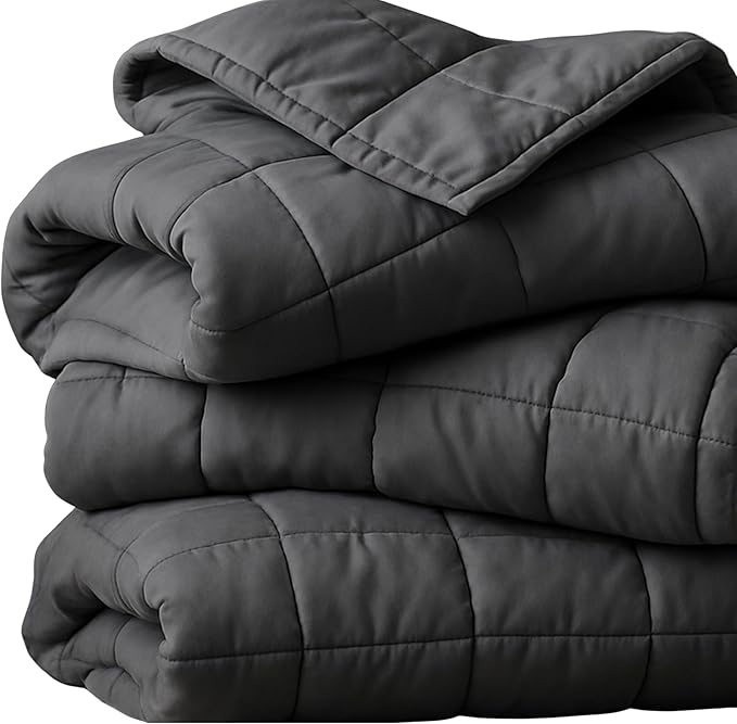 HomeSmart Weighted Blanket 15lbs, Individual Size, 60"x80", Sized for Use As Personal Weighted Blanket, Soft Breathable Fabric,