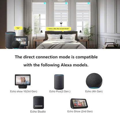 Changshade Smart Motorized Zebra Blinds Remote Control for Indoor Door Windows Blackout, Room Darkening Custom Size Shades Electric Power Automatic Work with Alexa, Google Home, Apple Homekit, Grey