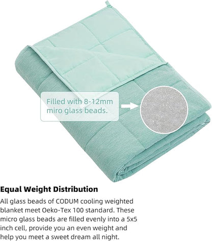 Weighted Blanket Queen Size 10 Pounds, Cooling Blanket for Adult Hot Sleepers, Soft Bed Blanket Universal to All Seasons, 60''x80'' 10 LBS, Water Blue