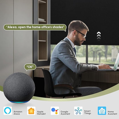 FineTell Motorized Blinds with Remote, 100% Blackout Roller Shades Compatible with Alexa,Apple Homekit,Google Home APP and Voice Control, Customized Electric Blinds (100% Blackout Pure Black)
