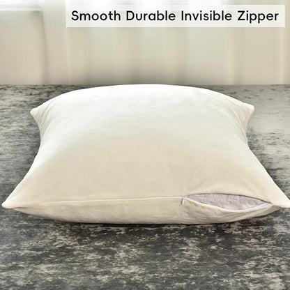 PHF Super Soft Velvet Throw Pillow Covers, 24"x24", No Insert, 2 Pack Color Gradient Cushion Covers, Ultra Soft Cozy Square Covers Shell for Home Decorative, No Shedding, No Pilling, Cream