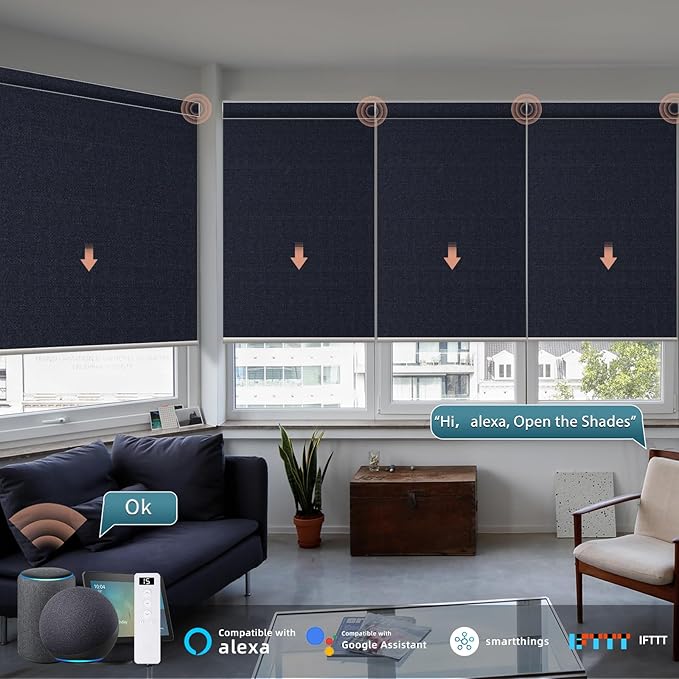 Motorized Roller Shade: 100% Blackout, Electric Blinds with Remote, Compatible with Alexa/Google Home/Apple Homekit, Customized Size, Noir Onyx Black
