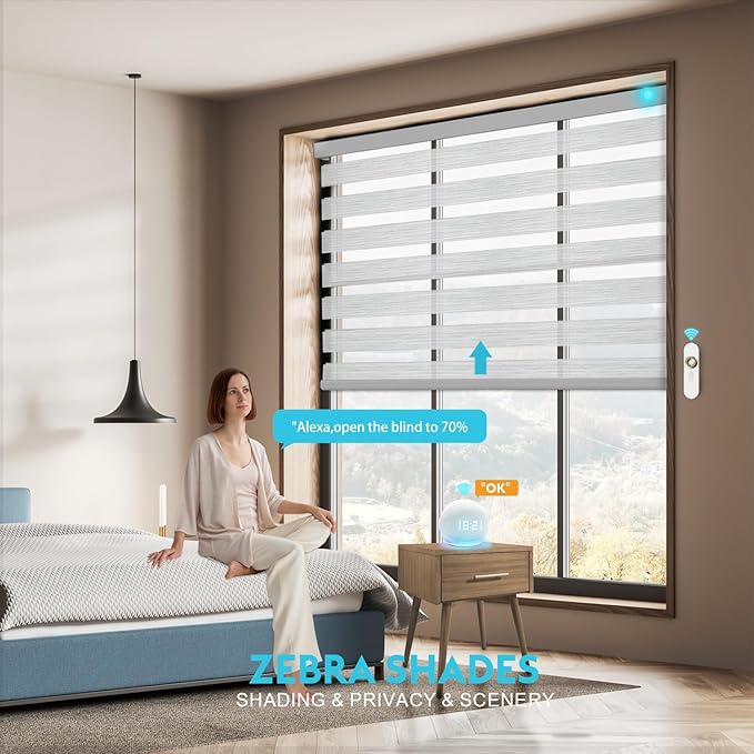 Motorized Zebra Blinds with Remote Smart Blind Work with Homekit Alexa SmartThings Electric Day and Night Shade Cordless Automatic Solar Powered Window Shade Customize(Starry Silver)