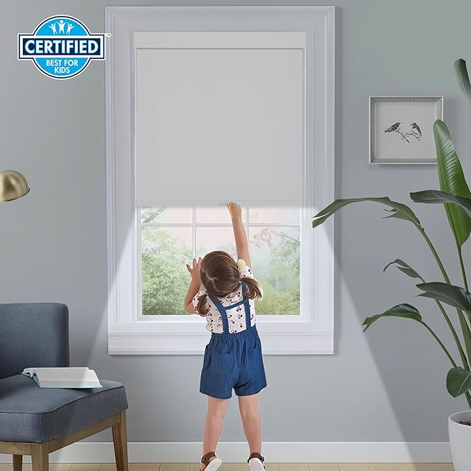 Persilux Blackout Roller Blinds for Indoor Windows, Cordless Roller Shades with Valance, Thermal Insulated Fabric Window Shades & Blinds, UV Protection Shades for Home and Bedroom (White,65"W x 72"H)