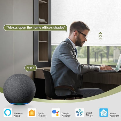FineTell Motorized Blinds with Remote, 100% Blackout Roller Shades Compatible with Alexa,Apple Homekit,Google Home APP and Voice Control, Customized Electric Blinds (100% Blackout Classic White)