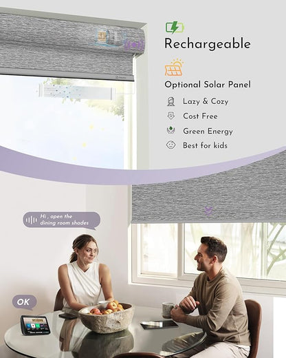 Graywind Smart Blackout Roller Shades Compatible with Alexa Google Textured Gleaming Fabric Rechargeable Motorized Blinds Cordless Remote Control Window Shades, Custom Size (Striped Grey)