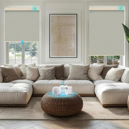 Motorized Blinds with Remote, Smart Blind Roller Shades Compatible with Alexa, Durable Rechargeable Battery Solar Power Electric Window Blinds Motorized Shades Customized Size (Pure Grey)