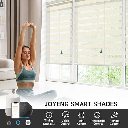 Motorized Zebra Blinds, Cordless Blackout Window Shades with Remote, Custom Dual Layer Smart Roller Shades Compatible with Alexa Google Assistant, Automatic Light Filtering Blinds,Luxury Beige