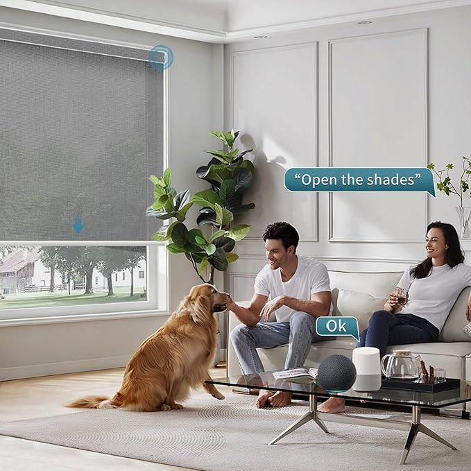 Motorized Light Filtering Roll Shades Work with HomeKit, 50% Blackout Smart Blinds for Windows, Electric Blinds with Remote,APP/Voice Control,Sunscreen PVC Free Charcoal