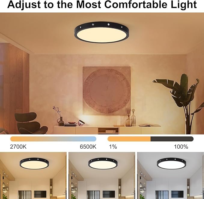 Smart Ceiling Light, RGB LED Ceiling Light Fixture, DIY Colors, Compatible with Alexa,ambiance Lighting for Bedroom