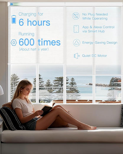 Motorized Sheer Roller Shades with Remote Control, Light Filtering Smart Blinds for Windows Work Alexa Google via Hub, Rechargeable Electric Window Shade Customized Size (Sheer White)
