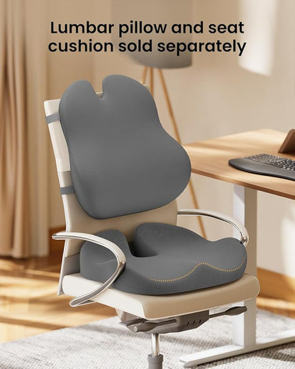 ProtoArc Lumbar Support Pillow for Office Chair, Memory Foam Back Support Pillow for Lower Back Fatigue Relief, Lumbar Cushion Desk Chair Back Cushion, Ergonomic Back Rest for Chair, Car - Gray
