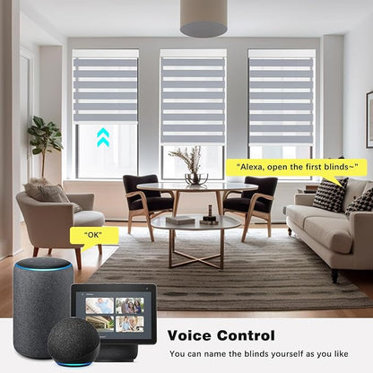Changshade Smart Motorized Zebra Blinds Remote Control for Indoor Door Windows Blackout, Room Darkening Custom Size Shades Electric Power Automatic Work with Alexa,Google Home,Apple Homekit,Dark Grey