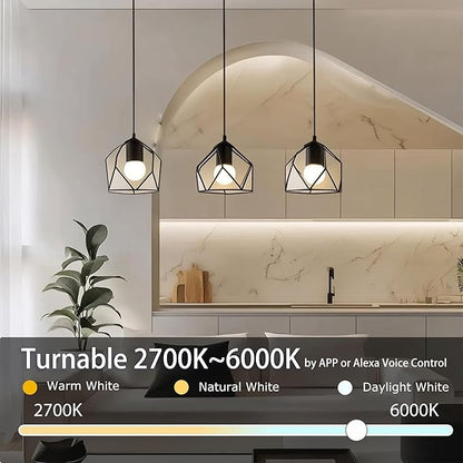 ILC G25 Globe Light Bulbs, App-Controlled Vanity Light Bulbs with Bluetooth Mesh, Color Changing, 1600 Million Colors, 6W, 60W Equivatlent, 600LM, CCT: 2700K-6000K, CRI>95+, E26 Base (6 Pack)