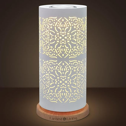 Earnest Living Waterless Diffuser 100ml Nebulizing Diffusion System for Large Ambient Space Studio Home Office Hotel Spa