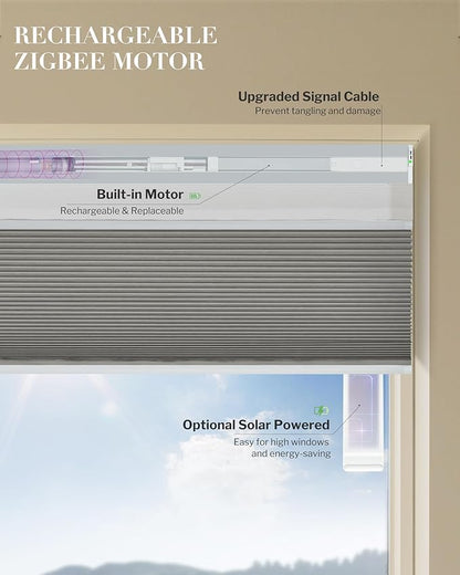 Graywind Motorized Day Night Cellular Shades with Remote, Smart Honeycomb Blinds Compatible with Alexa & Google Home, Custom Size Blackout/Privacy for Bedroom, Living Room & Home Office, Dark Grey