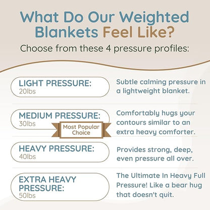 HomeSmart 30 lbs Weighted Blanket Queen Size - Medium Pressure Blanket - Premium Ultra Soft- 30lbs