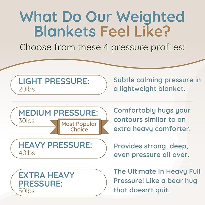 HomeSmart 30lbs Black Weighted Blanket Queen Size - Premium Ultra Soft Fabric - Heavy Blanket