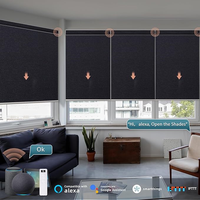 Motorized Blinds Roller Shade with Remote: Canisteo Automatic Smart Blind for Windows 100% Blackout, Electric Blinds Compatible with Alexa/Google Home/Apple Homekit, Customized Size,Noir Black