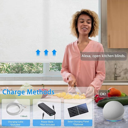 Motorized Blinds with Remote Cordless Automatic Motorized Shades Custom Blinds for Windows Smart Curtains Compatible with Alexa Google Home(Light Filtering Jacquard White,W62 x H72in)