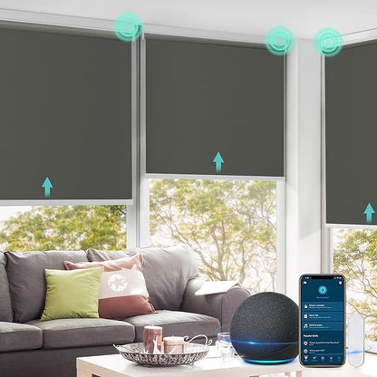 Allesin Motorized Roller Shade Work with Alexa for Window, 100% Blackout Smart Shades Cordless with Remote Control, Electric Automated Blinds for Window, Customized Size for Smart Home (Smoky Grey)