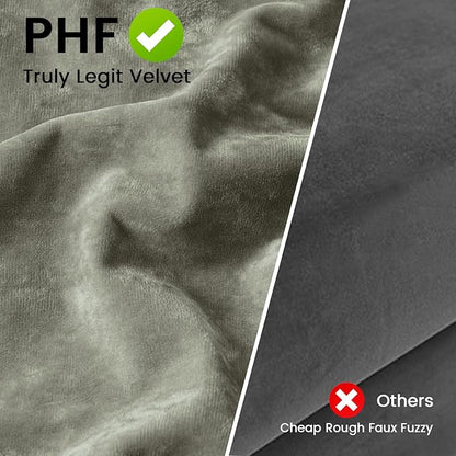 PHF Truly Velvet Pillowcases Standard Size, No Insert, 2 Pack Ultra Soft Breathable Pillow Shams Covers with Envelope Closure, 20" X 26" Luxury Cozy Warm Fuzzy Flannel, Vetiver