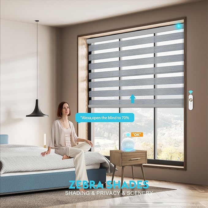 Motorized Zebra Blinds with Remote Smart Blind Work with Homekit Alexa SmartThings Electric Day and Night Shade Cordless Automatic Solar Powered Window Shade Customize(Starry Grey)