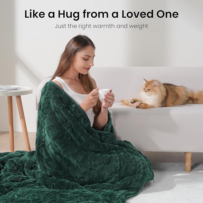 Drewin Queen Size Weighted Blanket for Adults 20 lbs, Soft Fuzzy Jacquard Sherpa Weighted Blankets for Sleeping 60 x 80 inches, Cozy Sofa Bed Blanket for Winter, Dark Green