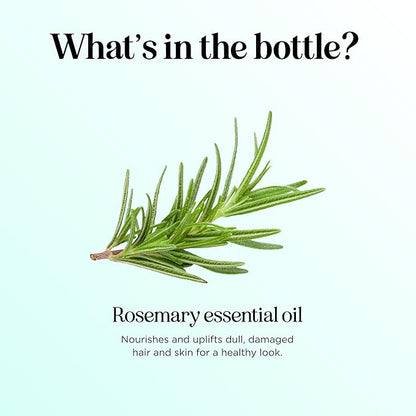 Pure Rosemary Essential Oil for Aromatherapy - Undiluted Rosemary Oil for Hair Skin and Nails - Rosemary Essential Oil for Diffusers Plus Hair Oil for Enhanced Shine Cleansing and Dry Scalp Treatment