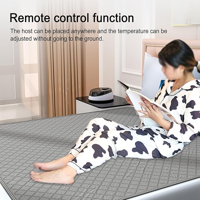 Smart Water Heating Blanket,Water Circulation Electric Blanket with Remote Control,radiation-free,2-12h Scheduled Shutdown,20-65 ℃ Temperature Regulating,Silent,gift for Family(Size:150*180cm)