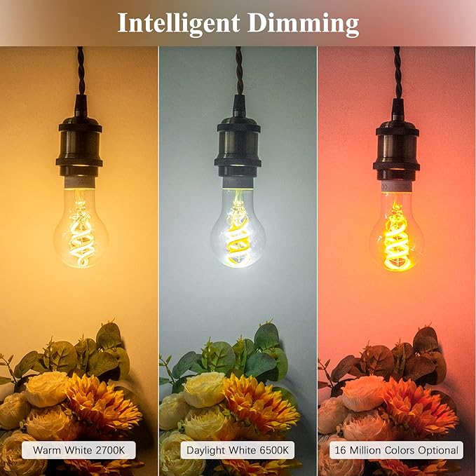 DiCUNO Smart Edison Bulb A19, Color Changing WiFi Smart Light Bulb, Vinatge A60 Filament Bulb Compatible with Alexa & Google, Dimmable with App, 50 Watt Equivalent 450LM, No Hub Required, 1 Pack