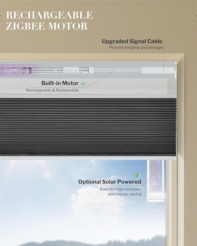 Graywind Motorized Day Night Cellular Shades with Remote, Smart Honeycomb Blinds Compatible with Alexa & Google Home, Custom Size Blackout/Privacy for Bedroom, Living Room & Home Office, Charcoal