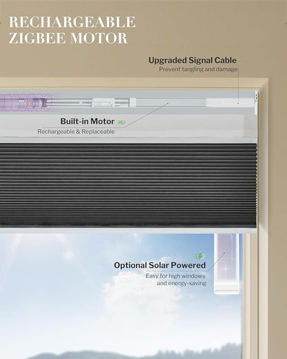 Graywind Motorized Day Night Cellular Shades with Remote, Smart Honeycomb Blinds Compatible with Alexa & Google Home, Custom Size Blackout/Privacy for Bedroom, Living Room & Home Office, Charcoal