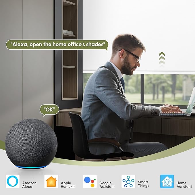 FineTell Motorized Blinds with Remote, 100% Blackout Roller Shades Compatible with Alexa,Apple Homekit,Google Home APP and Voice Control, Customized Electric Blinds (100% Blackout Pure White)