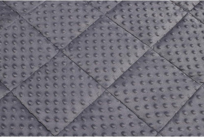 TONGDADA Minky Weighted Blanket | 40''x60'',10lbs | Cozy and Soft Minky Weighted Throw Blanket | Luxury Velvet with Premium Glass Beads | Dark Grey Minky