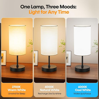 NIORSUN Light Therapy Lamp,10000 Lux Sun Lamp with Remote,3 Color Temperatures & Stepless Dimming,Happy Sunlight Lamp with USB C & A Ports,UV-Free Full Spectrum Light for Home,Office