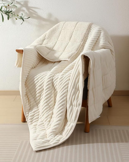 CYK Weighted Blanket Adults 20 Pounds Queen Size 60"x80" - Dual-Sided Fleece & Sherpa Blanket - Heavy Plush Flannel Winter Warm Blanket for Bed and Couch