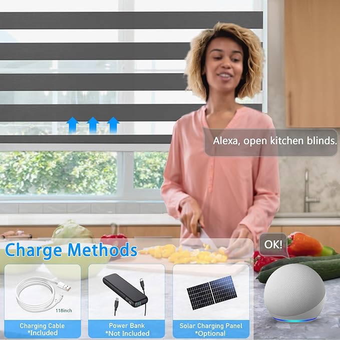 Motorized Zebra Blinds for Windows Cordless Electric Curtains with Remote Control Blackout Shades Custom Smart Blinds Compatible with Alexa Google Home(Light Filtering Black,W49 X 72in)
