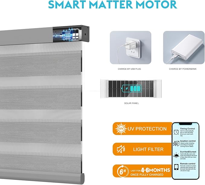 Motorized Zebra Blinds with Remote Smart Blind Work with Homekit Alexa SmartThings Electric Day and Night Shade Cordless Automatic Solar Powered Window Shade Customize(Carbon Grey)