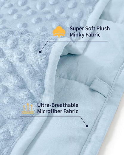 Mr. Sandman Weighted Blanket for Adults Queen Size 15 lbs, Soft Cooling Heavy Minky Blanket for Sleep, Washable Throw Blanket with Glass Beads, 60 x 80 Inches, Light Blue