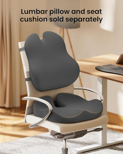 ProtoArc Lumbar Support Pillow for Office Chair, Memory Foam Back Support Pillow for Lower Back Fatigue Relief, Lumbar Pillow Desk Chair Back Cushion, Ergonomic Back Rest for Chair, Car - Dark Gray