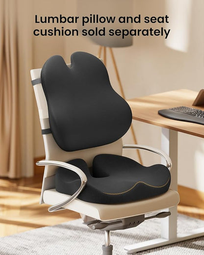 ProtoArc Lumbar Support Pillow for Office Chair, Memory Foam Back Support Pillow for Lower Back, Lumbar Cushion Desk Chair Back Cushion, Ergonomic Back Rest for Chair, Car, Home - Black