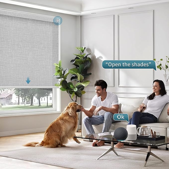 Motorized Light Filtering Roll Shades Work with HomeKit, 70% Blackout Motorized Blinds for Windows, Electric Blinds with Remote, APP/Voice Control, Automatic Solar Shades, Texture Smoke