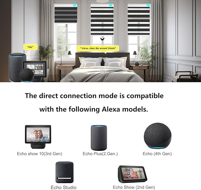 Changshade Custom Motorized Blinds Smart Zebra Roller Shades for Indoor Windows, Blackout Cordless Electric Power Automatic Remote Control Work with Alexa, Google Home, Apple Homekit,Smarthings,Black